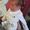 Kassey Westring