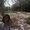 Allana H
