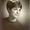 Susan McPherson