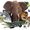 World animals