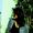 Shalini Roy