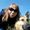 Janine Best