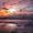 Donna Theeck