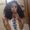 Ashi Mnm Bhasin