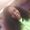 LaKeisha McCray