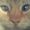 Tarah