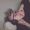 Noah Voth