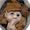 WOODNISSE