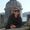 Ana Travels Travel Blog