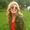 Kate Holmes