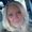 Stacy Brannon