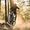 Mountain Bike Accessories