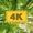 4K RELAX