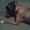 Joyce Dowtin