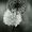 Nihal Omar