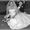 Nanette Smith