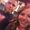 Brooklyn Partington