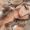 Ashlyn