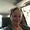 Karen Sucher