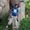 Aanthony Mares Quispe