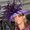 Leigh Anne Statton