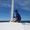 Nandor Sailer