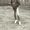 Kolade David