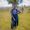 asha sawo