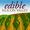 Edible Silicon Valley
