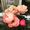 Beth Wilman