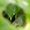 Aroma Beads Online