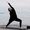 Fightmaster Yoga