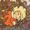 Mulberry Sang