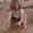 Mandi Whipple