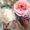 Lisa Sims Artist