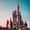 Disney And More