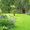 Gardening Ideas