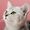 Capricorn Cat 🐈
