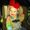 Becky Koesler