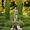 Gardens Ideas