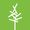 Timber Press