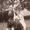 Mary Tevington