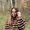 Sydney Dodini