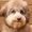 Hope Brightman