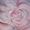 Dawn DeVor