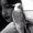 Nour Ellhouda