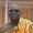 philip prempeh