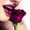 Anna x