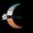 CRESCENT CHAOS