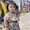 Roqaya Ahmad